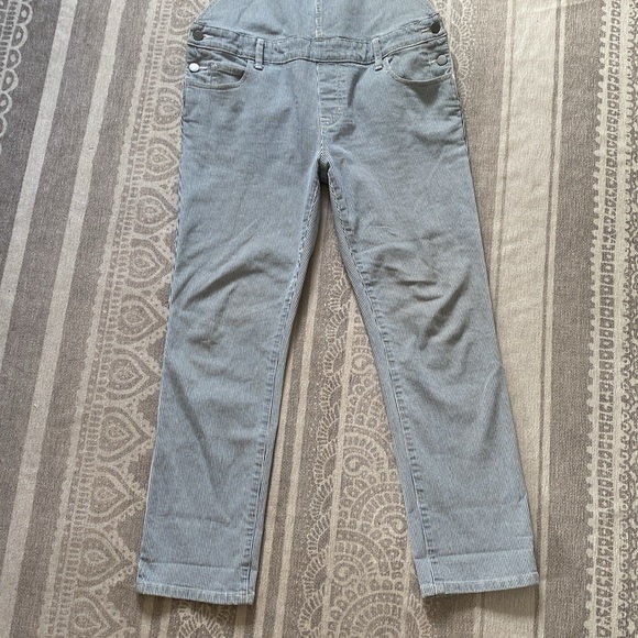 HATCH Collection The Railroad Stripe Overall - Picture 6 of 13